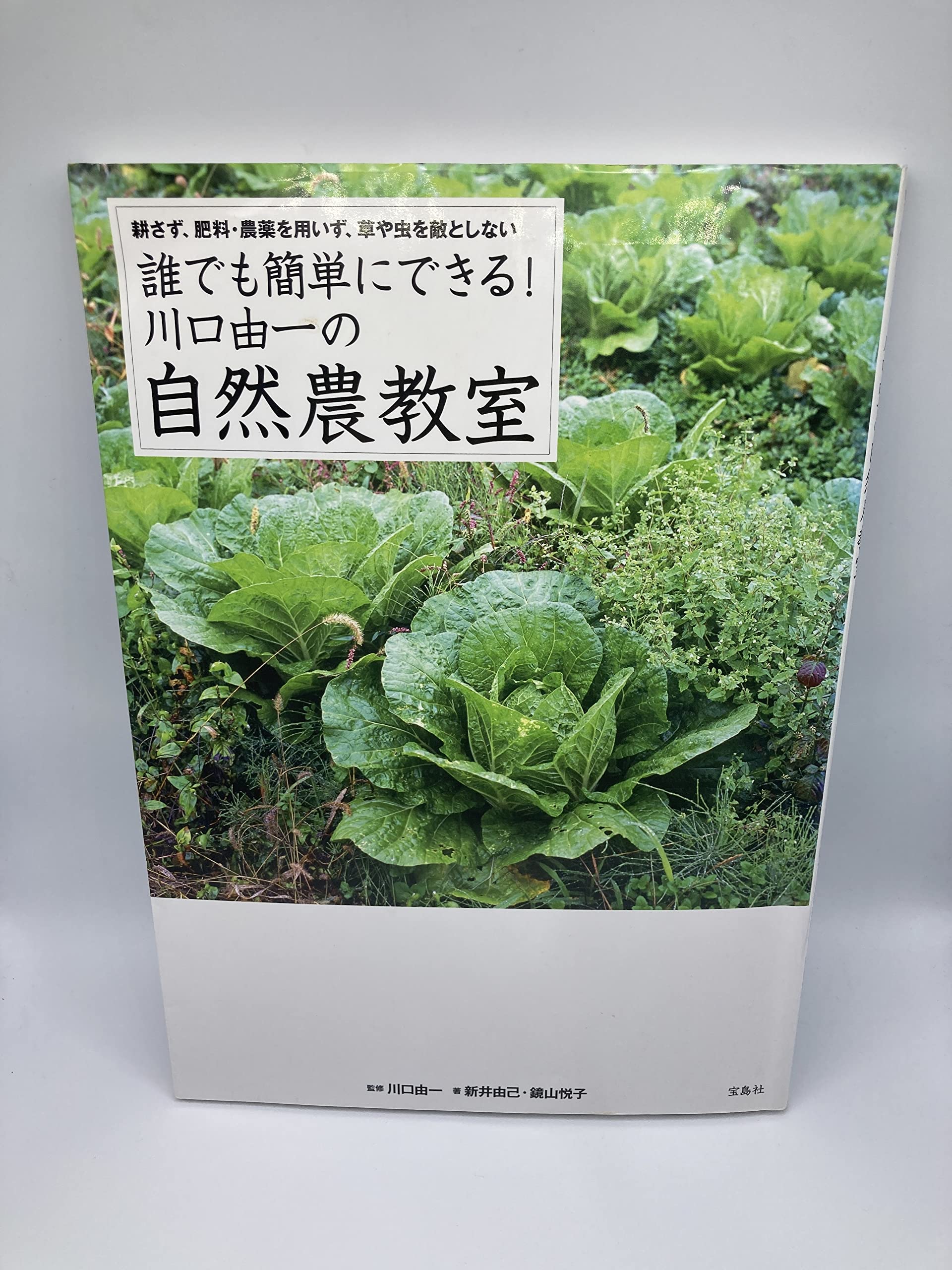 誰でも簡単にできる! 川口由一の自然農教室 | 新井 由己, 鏡山 悦子